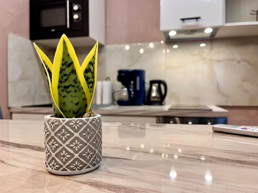 Уютная студия в центре города