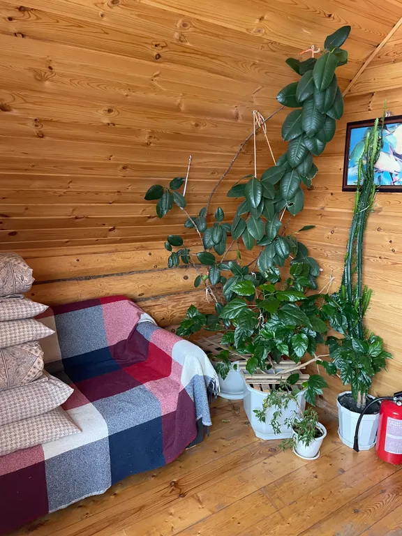 Теремок в горах бревенчатый дом и баня