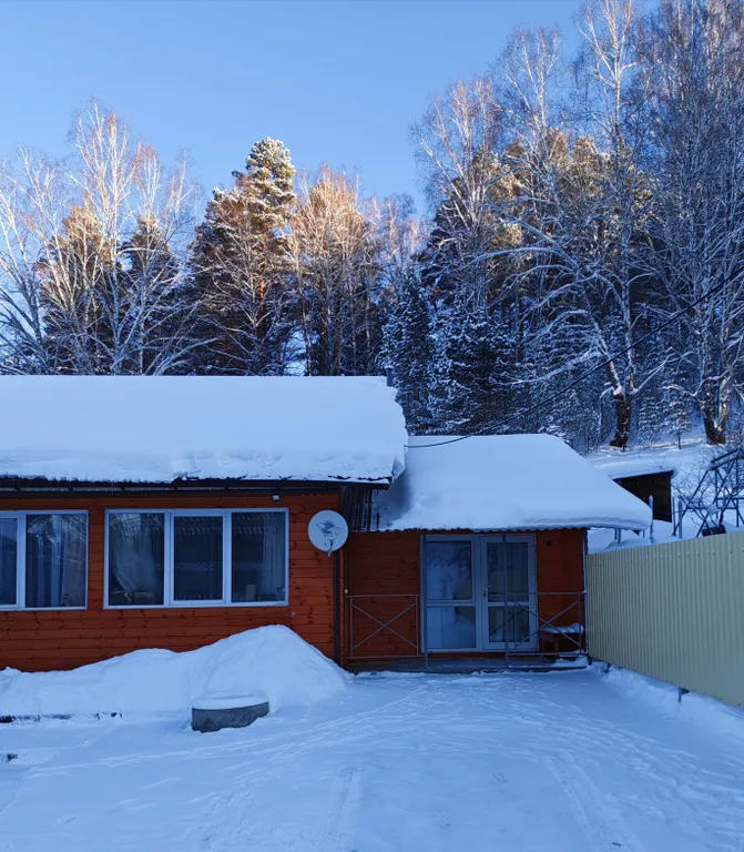 Апартаменты с видом на лес