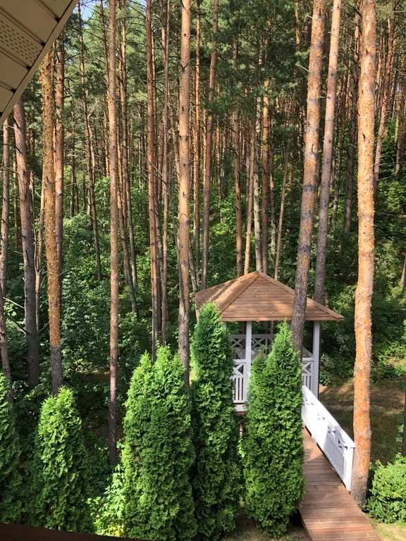 Уютный номер в гостинице сосновом лесу и на берегу озера