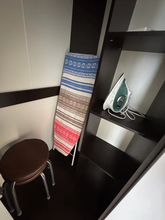 Уютная однокомнатная квартира