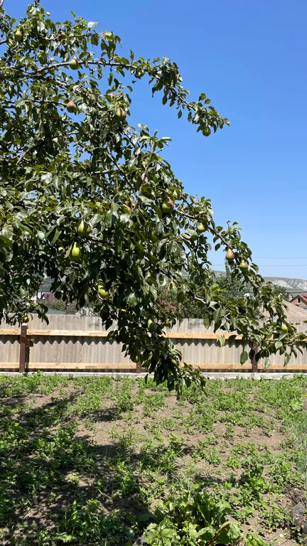 Коттедж Уютный дом по краю лесного массива с видом на горы — Кисловодск