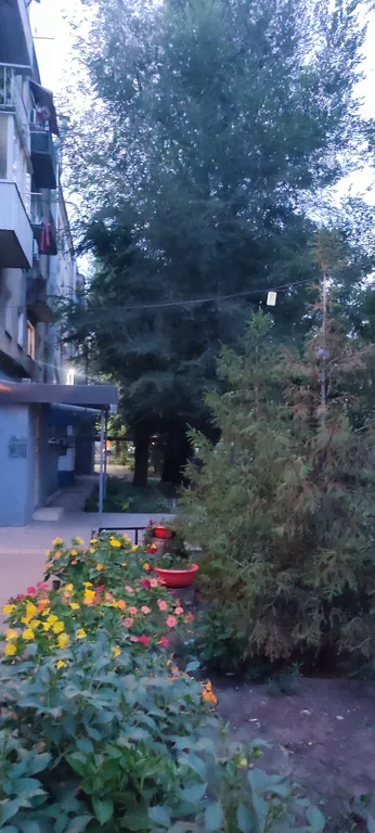 Просторная квартира-студия