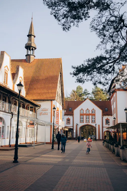 Квартира Апартаменты для уединенного отдыха и тишины — Светлогорск