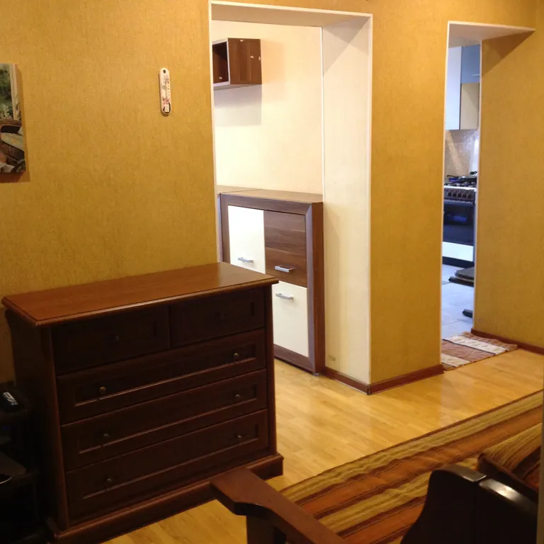 Просторная квартира в тихом центре