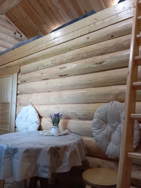 Деревянный дом, на берегу меличуярви, на краю леса в карельском селе