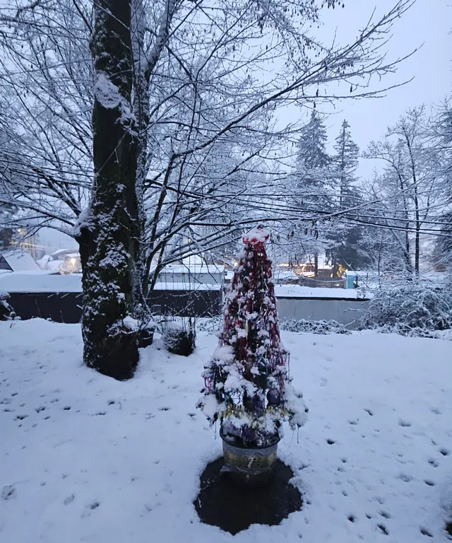 Отдельная квартира, Романовский хутор, дом N3 "Сирень"