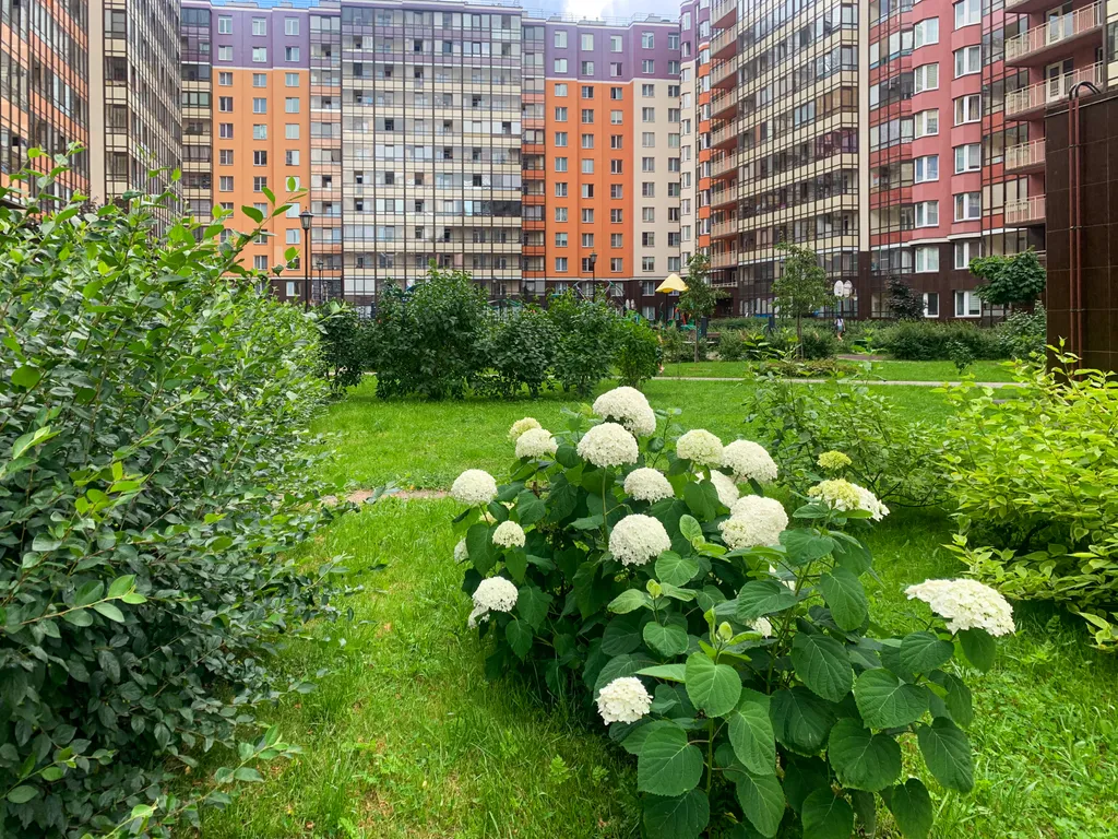Квартира Квартира Новая Ириса — Санкт-Петербург