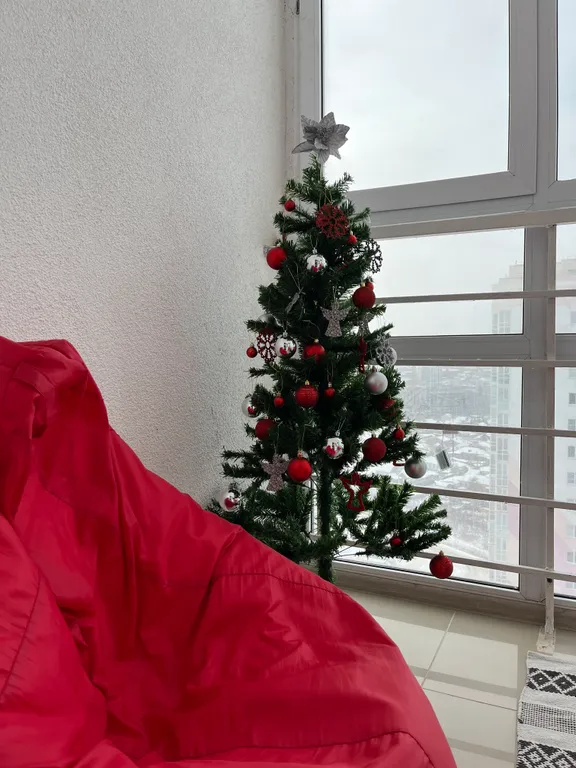 Выше только звезды