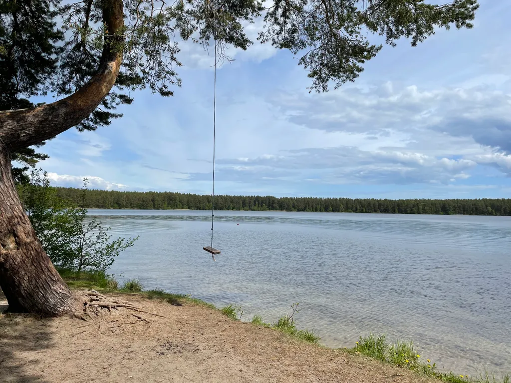 Коттедж Уютный просторный дом у лесного озера — Ларионово