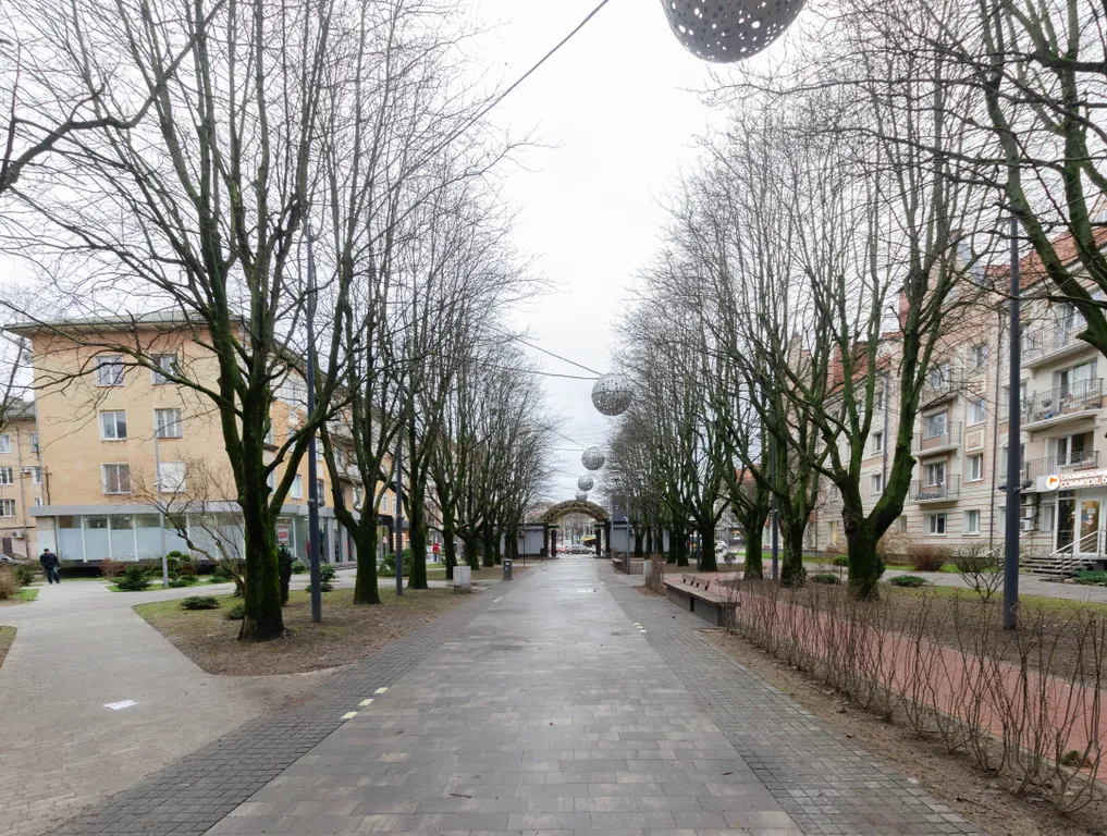 Квартира Спокойная квартира в самом центре — Калининград