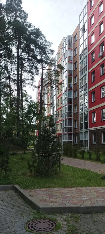 Квартира 1-комнатная Квартира — Светлогорск