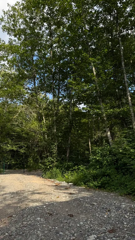 Коттедж на берегу речки