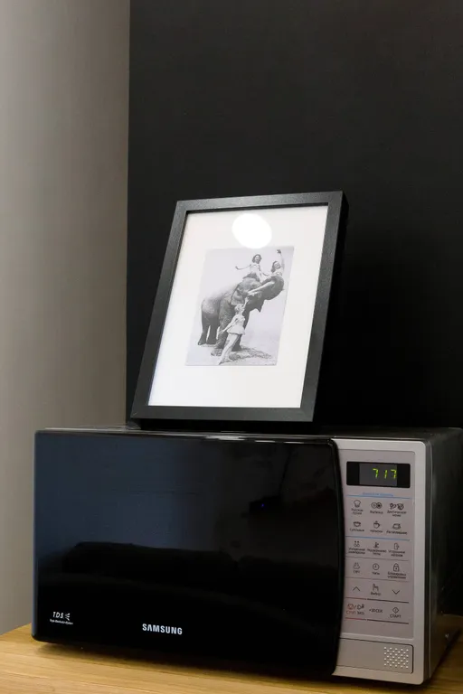 Апартаменты у Цирка на Фонтанке