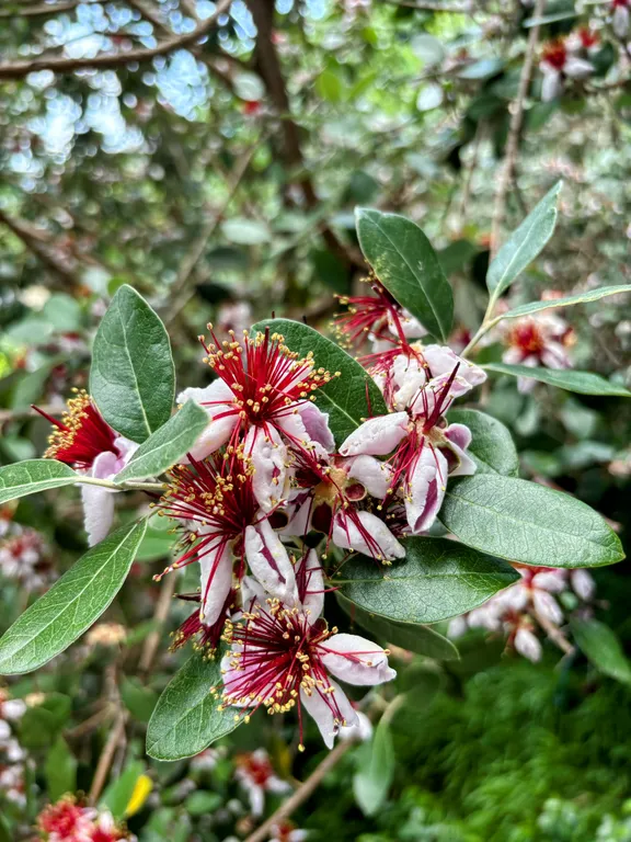 Семейная квартира с видом на горы