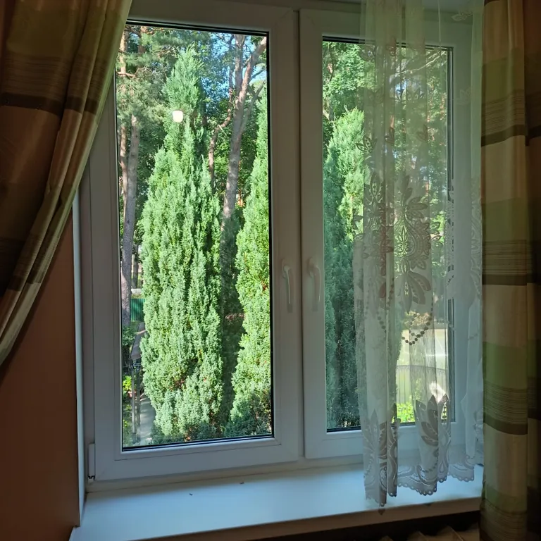 Квартирка в сосновом бору в центре