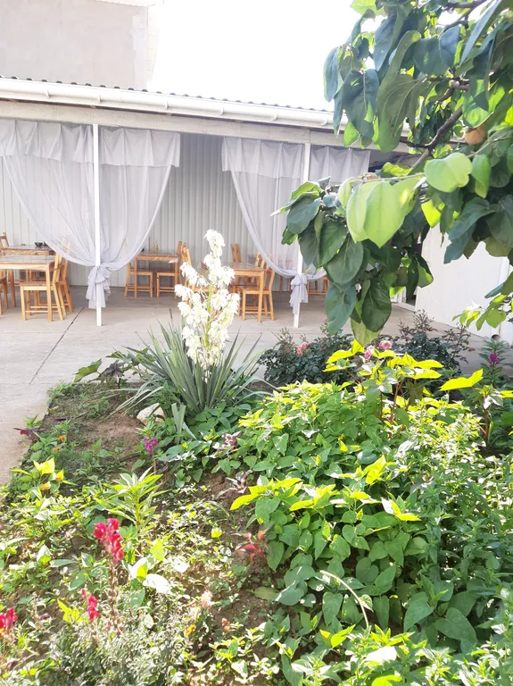 Семейный с кухней на 4 человека