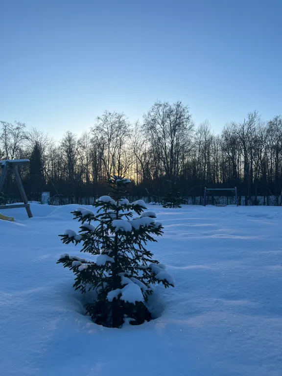 Коттедж Семейный коттедж на берегу реки Лава — Ручьи