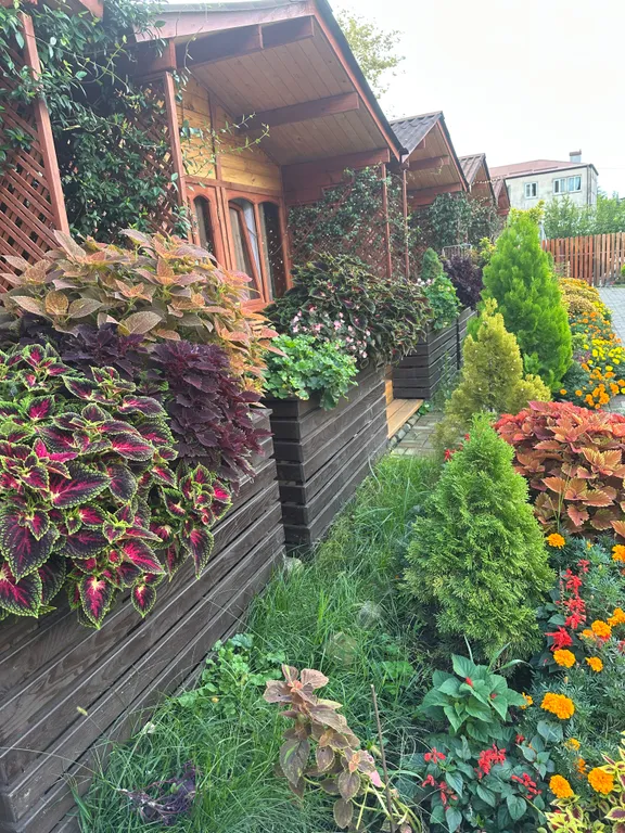 Коттедж 1-комнатный Дом — Гагра