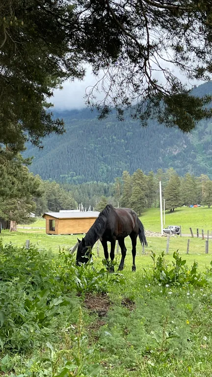 Уютное шале в горах