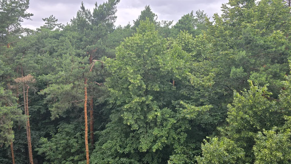 Уютная квартира рядом со ст. Отдых