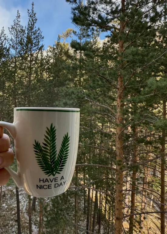 В горы с комфортом