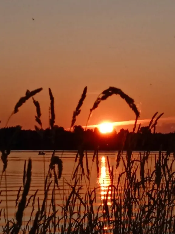 Дом для тихого семейного отдыха