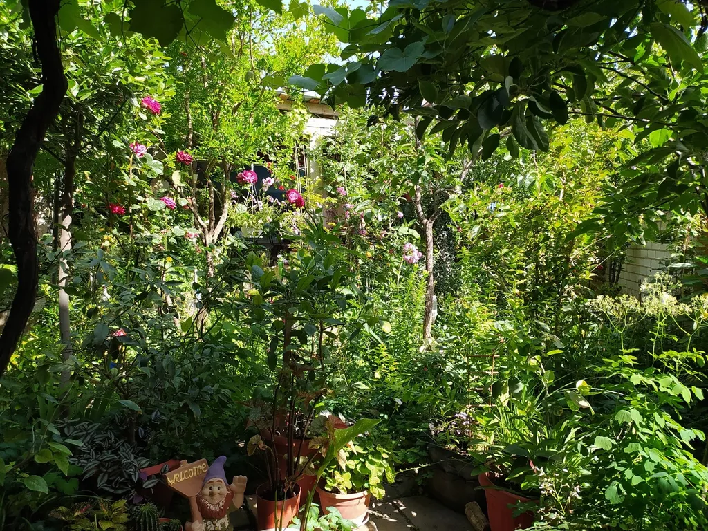 Коттедж с отдельным входом и двориком