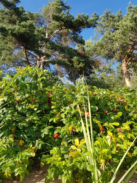 Уютная квартира у озера