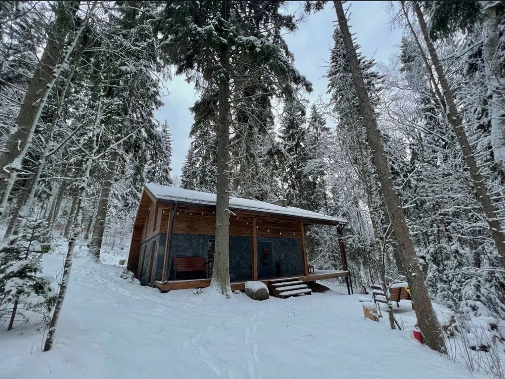 Коттедж Сказочный Шале с камином и джакузи в живописном лесу — Шадрино