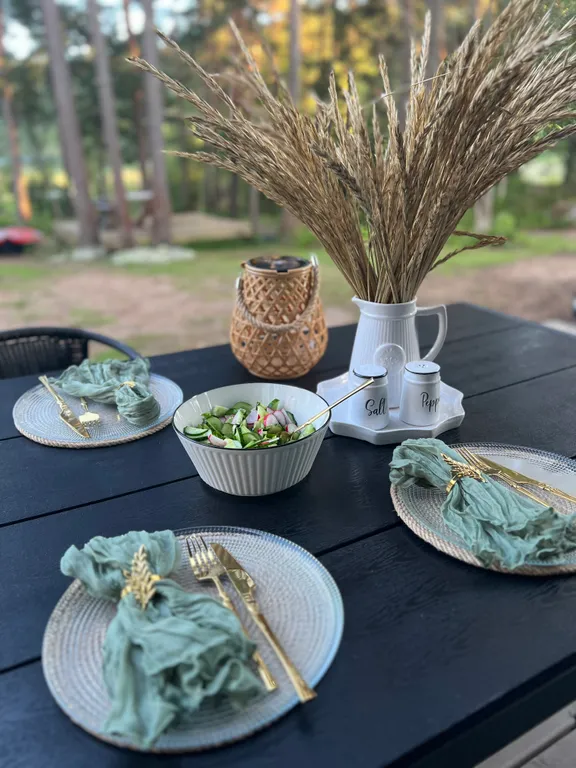 Стильный дом на берегу Ладожского озера с панорамным видом