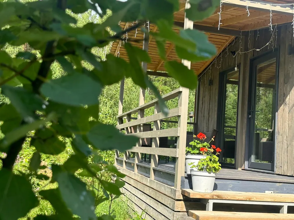 Темный домик на опушке леса