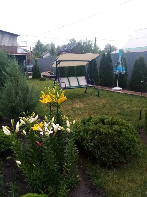 Коттедж в Царевщине