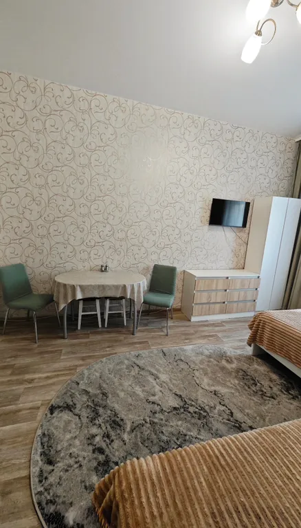 Уютная студия в центре города