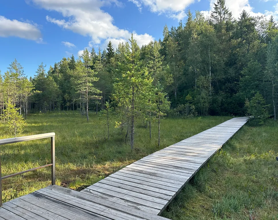 Уютный дом в Токсово