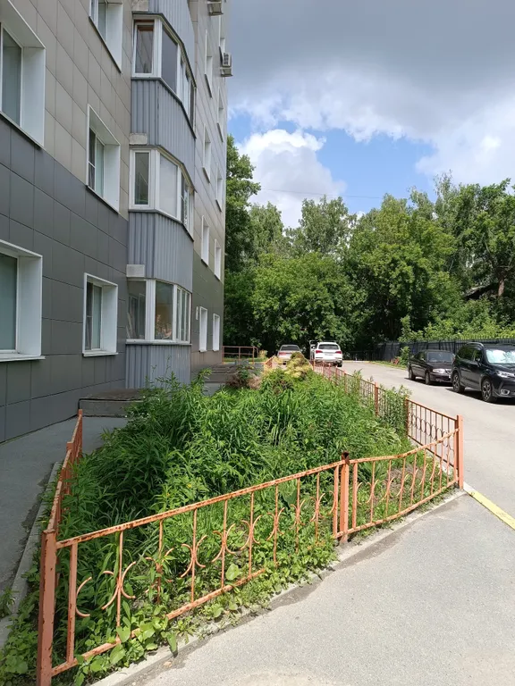 Уютная студия у зоопарка и дендропарка