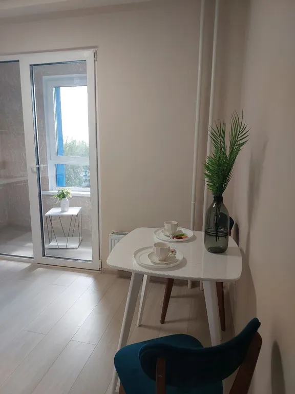 1 комнатные апартаменты в центре города