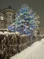 Вера Квартиркина