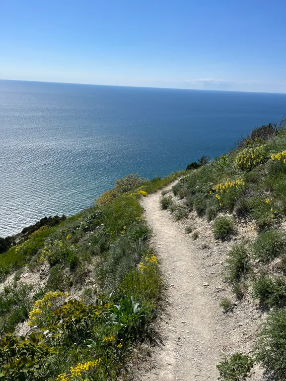 Апартамент в заповеднике с видом на море