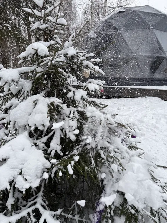 Новая сфера для глэмпинга Бёрд&Self vibe с дизайнерским интерьером