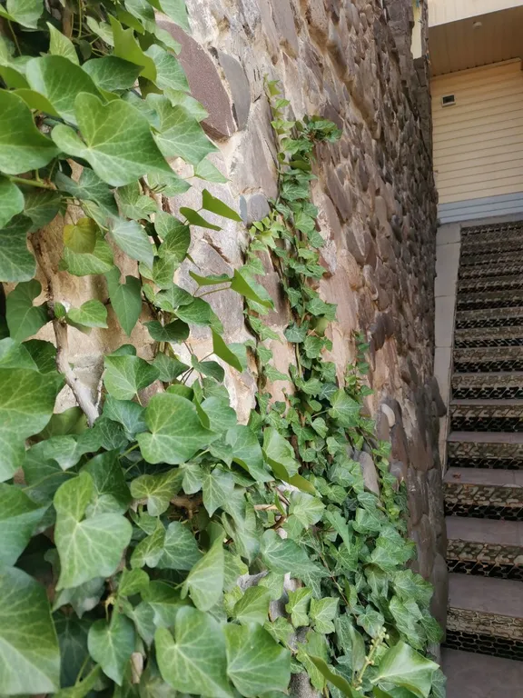 Уютный семейный дом