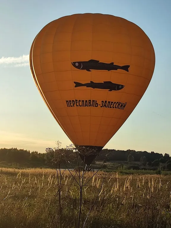 Коттедж Дом у леса — Соловеново