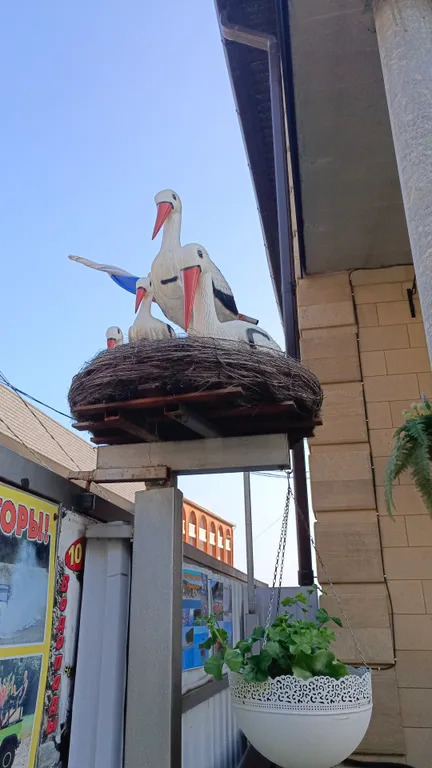 Номер с террасой и с видом на море