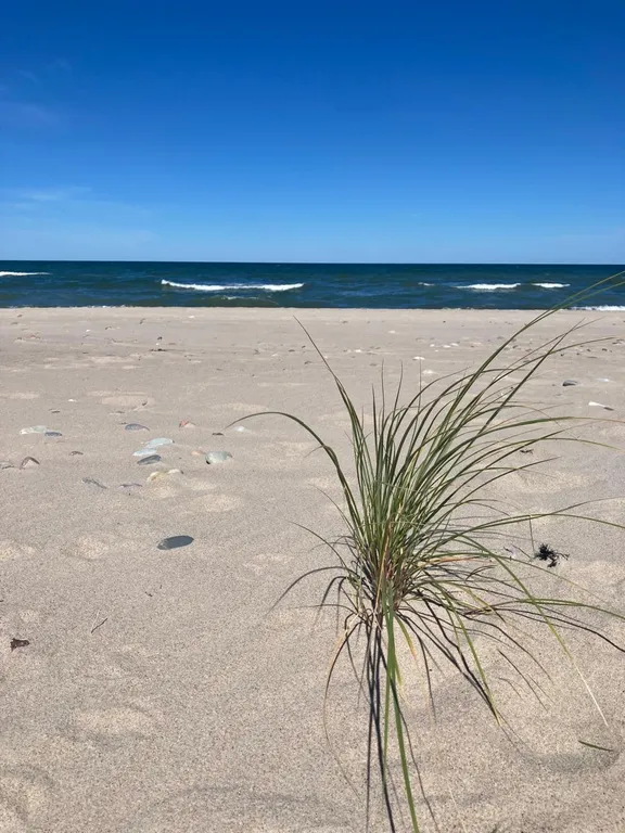 Дом с пляжем у моря