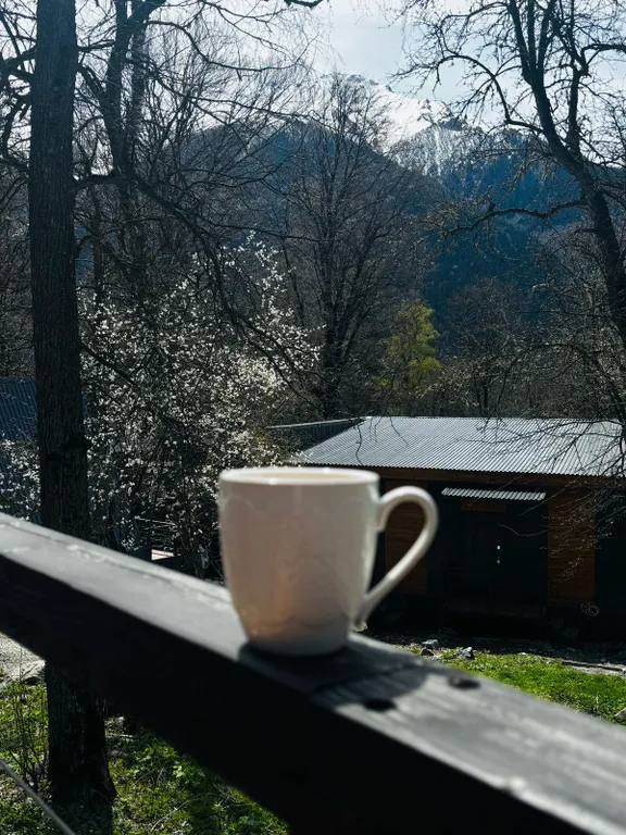 Коттедж Дом в лесу — Архыз