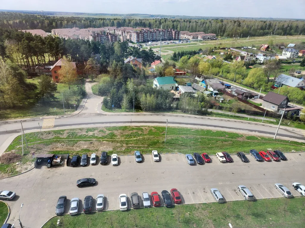 Студия с шикарным видом на лес