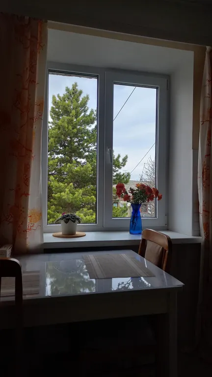 Квартира с видом на гору Красивый Курган