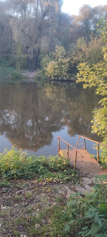 Уютный домик на берегу Пахры с настоящей русской баней