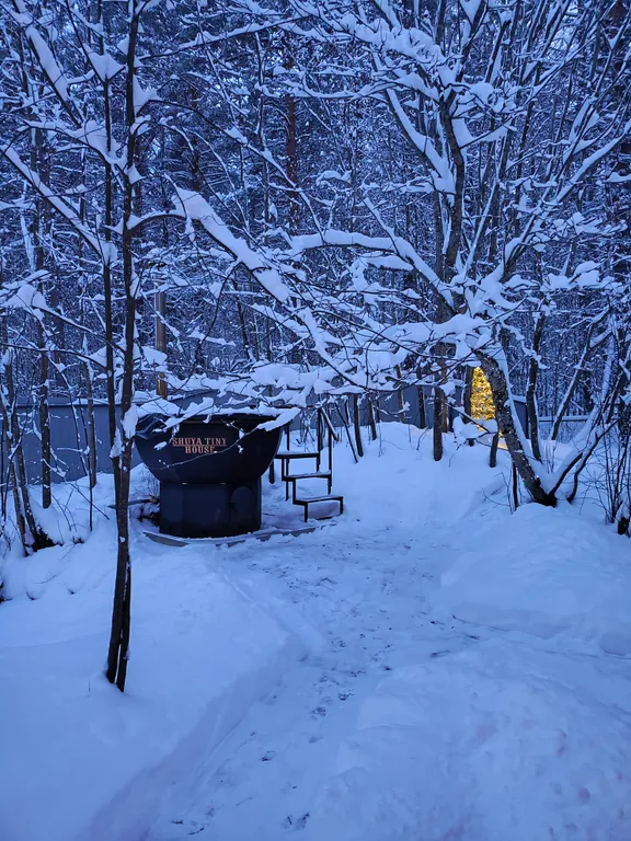 Коттедж Коттедж Shuya Tiny House 2 — Петрозаводск