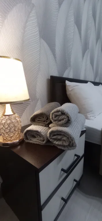 Квартира в 10 минутах ходьбы от центра города